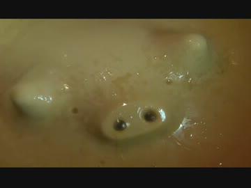 ぶたの…