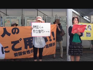 【花時計：千葉街宣】～韓国人の嘘にご用心～　ハナコ