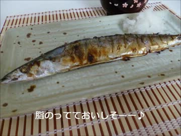 最後にちょっぴり秋を味わっている動画