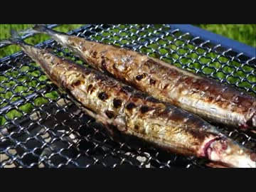 ウサチョフキャンプ2013　「炭火DEさんまちゃんっ　in青根キャンプ場」