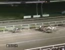 2013年9月27日園田競馬10R エコフィード特別(A1･A2) マイネマグノリア