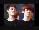 [EXO] ベクド カップル
