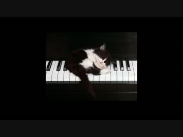 Jazz　作業用BGM　8曲