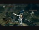 低SL攻略のススメ#104　ノーロック白でアルトリウス