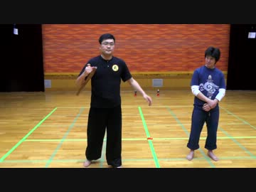 【三増紋右衛門】 トンファーキック1 【トンファー流】