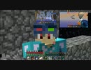 【Minecraft】異常なｽｶｲﾌﾞﾛｯｸ亜種をゆっくりﾌﾟﾚｲ最終回高画質