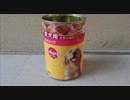 愛犬ナナと暮らしましょう（1年と179日目）～大脱走～