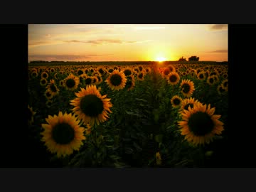 NNI / to the same view