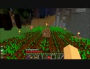 兄者と妹者のマイクラ実況　６日目