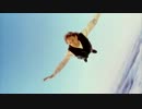 PAUL McCARTNEY【OFF THE GROUND】1993