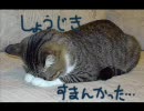 【サミタ】1000袋ってなんぞや 番外編その5+