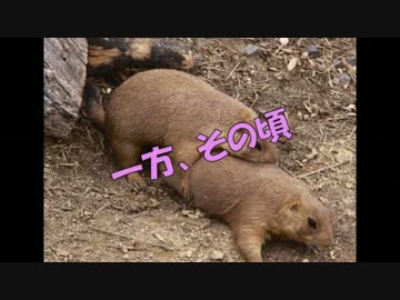 おんぼろーばーがゆく！みんなでサファリ！【立体音響】