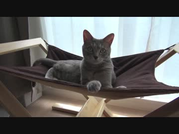 【モアクリ】 ハンモッカーズ