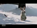 【ラストオブアス実況】極限のサバイバル体験に憧れて　part20（後編）