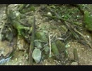 【長野県】日本で海から一番遠い地点へ行ってきた【五稜郭】