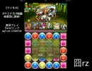 【マイキch】パズドラ タケミナカタ降臨 地獄級 ヌシ＆ヒメPTで挑戦！