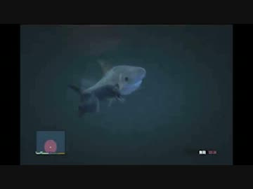 【GTA5】VS サメ ＋α