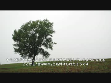 南国ライダー　試される大地に挑む・・・？その２