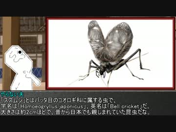 ゆっくり霊夢とやる夫が学ぶ 昆虫大百科 part9