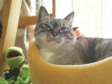 最高に幸せな動画！　ちょっとだけジャンくん瞬きのご挨拶が出来た