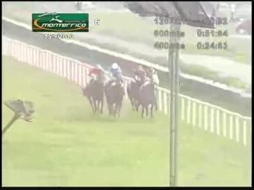 【世界の競馬場から】2013年エドゥアルドエスクリベンス賞　アマテラス