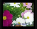 【ニコカラ】勇気１００％（忍タマ乱太郎）【OFFVOCAL】