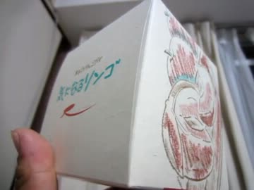 近所のスーパーで売ってた６８０円の怪しいお菓子 『気になるリンゴ』