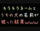 キラキラネームとうちの犬の名前が被った結果ｗｗｗ【2ch】