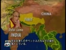 日本では報道されない中国の虐殺.avi