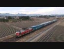 2008年1月19日　伊勢臨DD51＋12系x6