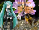 【初音ミク】花とみつばち【カバー】