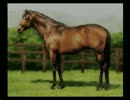 実況 ユウタがウイニングポスト７ ２００７に挑戦するよ! 2nd season prat106