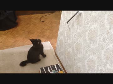 今日のぱるむ①