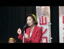 山城博治さん　決起集会での糸数慶子スピーチ.avi