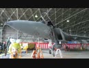 【おでかけリンちゃん】2013小松基地航空祭【石川】