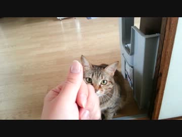 くっさ( ˘•ω•˘ )