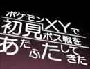 ポケモンXYで初見ボス戦をあたふたしてきた①