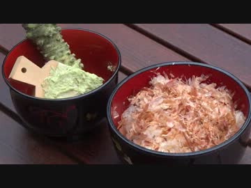 【野外ご飯】 生わさび丼に挑戦した日のこと 【あと牛とか】