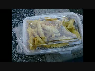 Ninjaまったり君で行く　琵琶湖一周キャンプツーリング　№3