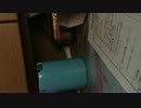 IMG_2276.MOV