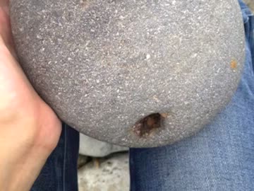 ハッカASMR 自然の中で楽しむ音フェチ＊川原の石散策・粗めの石をザクザク踏んで歩く音・小声つき