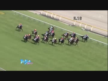 【競馬】第74回菊花賞　出走馬