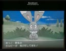 【ポケモンXY】色違いホルビーGETの瞬間【直撮り】