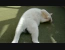 あっ