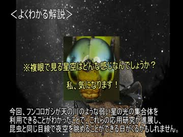 ゆっくり動物雑学「フンコロガシは…」