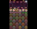 【パズドラ】ゼウス降臨　クシナダパ