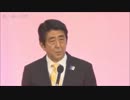 中野剛志、ルーピー安倍にブチギレ