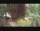 宇陀市室生近辺の高龗神・龍神を祀る神社【高龗神】