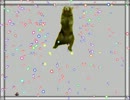 I wanna be the Kumaaaaa - クマ牧場