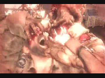 サバイバルホラー満喫生活。『The Last Of Us』実況プレイ(13)